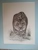 Roswitha Pulz - Schneeleopard Poster Kunstdruck - Roswitha Pulz, Runkel, Deutschland Wandbild