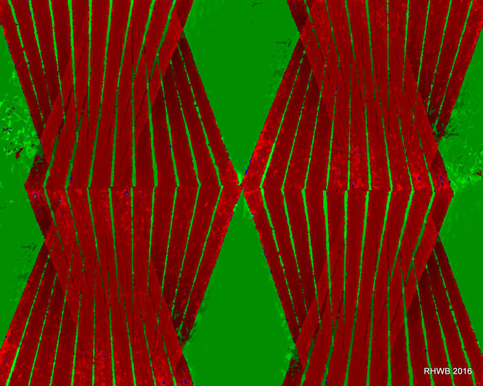 Reinhard H.W. Brand - Forms RedGreen