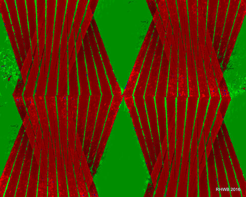 Reinhard H.W. Brand - Forms RedGreen