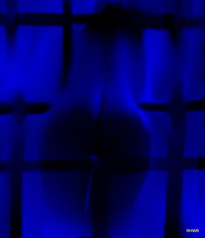 Reinhard H.W. Brand - Bluedream2
