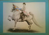 Leslie Ann Röser - American Saddlebred Poster Kunstdruck - Leslie Ann Röser, Codurg, Deutschland Wandbild
