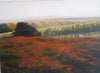 Holger Diener - Mohnfeld bei Neddesitz - Rügen Poster Kunstdruck - Holger Diener, Berlin, Deutschland Wandbild