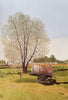 Elke Haefs - Niederrhein Impression Poster Kunstdruck - Elke Haefs, Geldern, Deutschland Wandbild