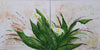 Sonja Ruygh - Calla Crystal Blusch Poster Kunstdruck - Sonja Ruygh, Lingen, Deutschland Wandbild