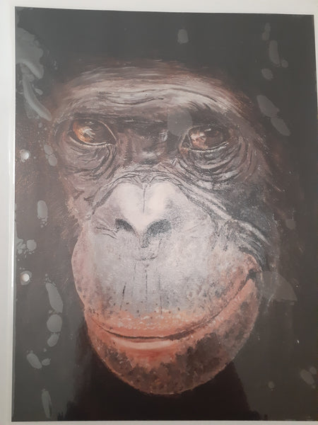 Christian Walter Von Lüderitz - Der Blick Poster Kunstdruck - Christian Walter Von Lüderitz, Neckargemünd, Deutschland Wandbild