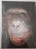 Christian Walter Von Lüderitz - Der Blick Poster Kunstdruck - Christian Walter Von Lüderitz, Neckargemünd, Deutschland Wandbild