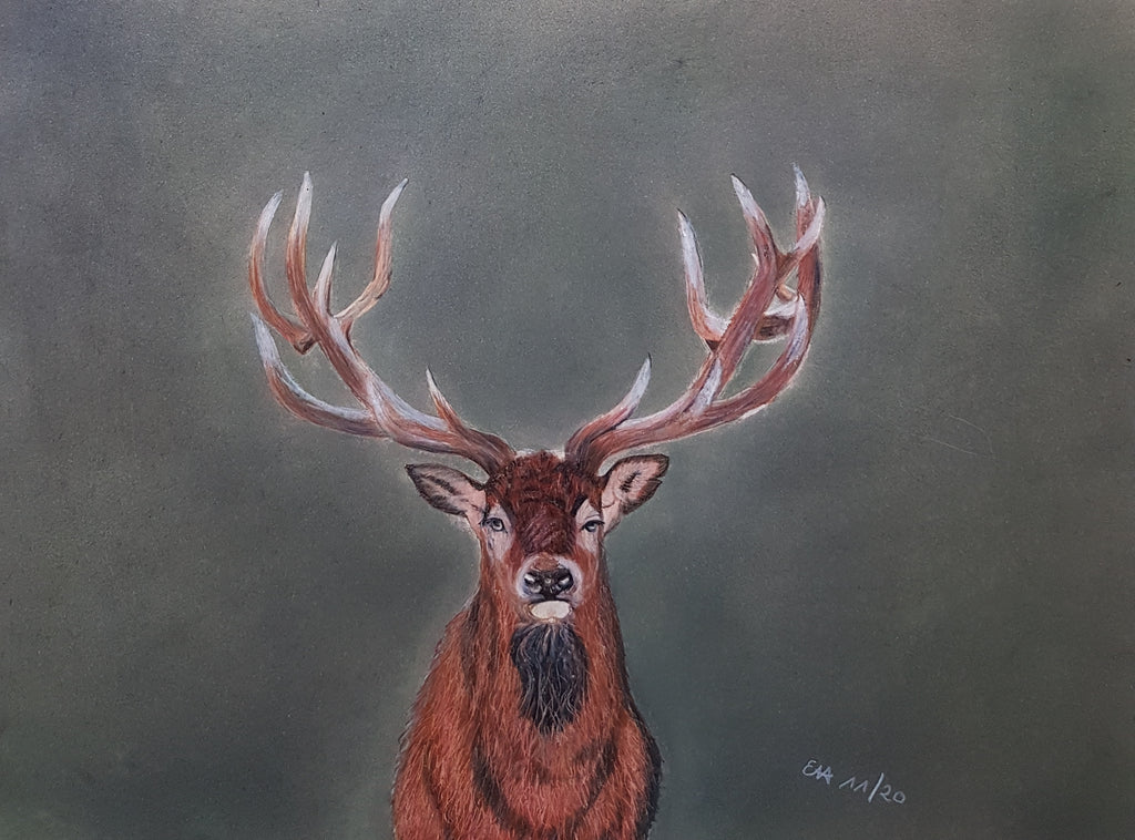 Elke Haefs - Hirsch