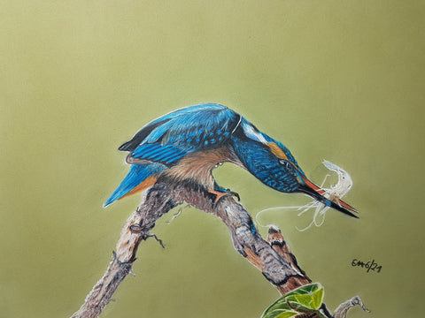 Elke Haefs - Eisvogel