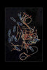Anja Morisse - 2-household Poster Kunstdruck - Anja Morisse, Bremen, Deutschland Wandbild