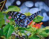 Amaro - Landing on Ring Flowers Poster Kunstdruck - Amaro, Luzern, Schweiz Wandbild