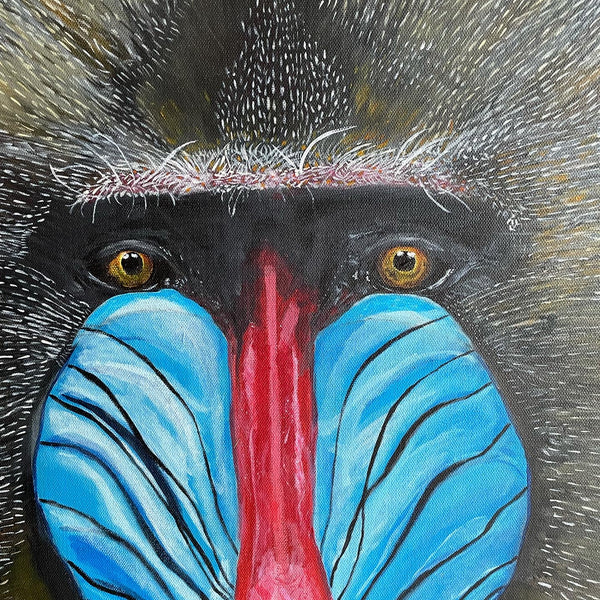 Dietmar Dresen - Mandrill