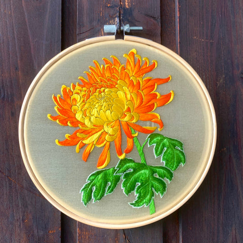 Huiying Li - Chrysantheme