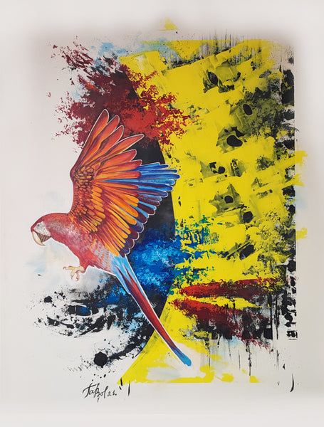 TaBol - Colorful Bird