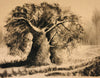 Wojciech Krupa - Die Rieseneiche Poster Kunstdruck - Wojciech Krupa, Bad Bevensen, Deutschland Wandbild
