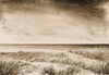 Wojciech Krupa - Nordsee Poster Kunstdruck - Wojciech Krupa, Bad Bevensen, Deutschland Wandbild