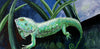 Marion Dahmen - Gecko Poster Kunstdruck - Marion Dahmen, Duisburg, Deutschland Wandbild