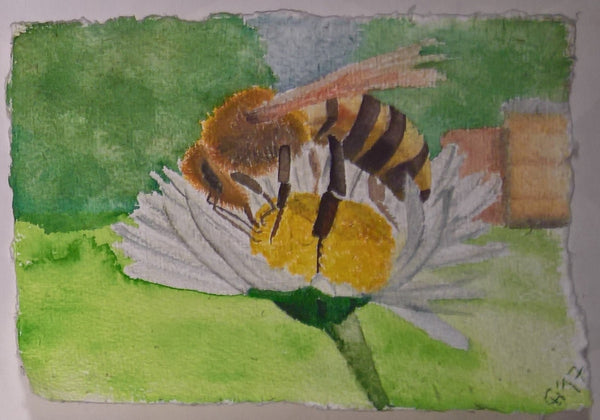 Celine van der Hoofd - Bienencyclus 2017 - Die Bienenjahreszeiten