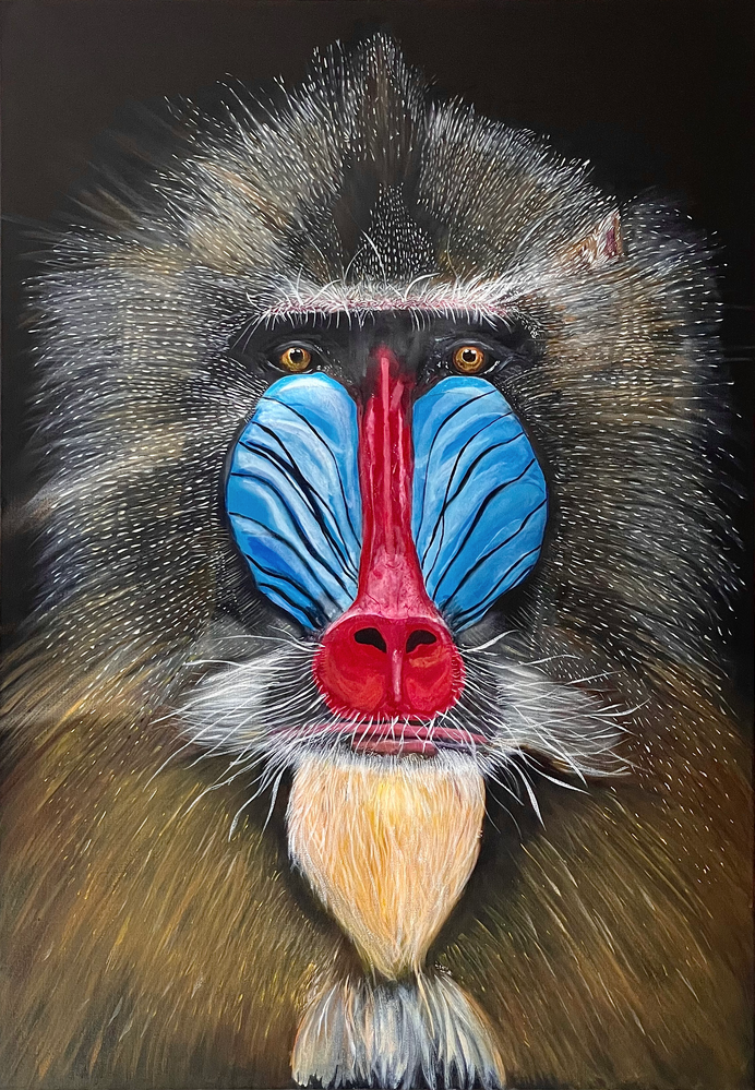 Dietmar Dresen - Mandrill