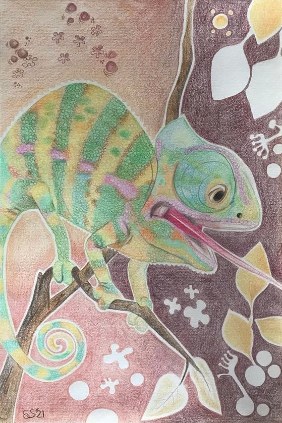 Elke Sell - Little chameleon