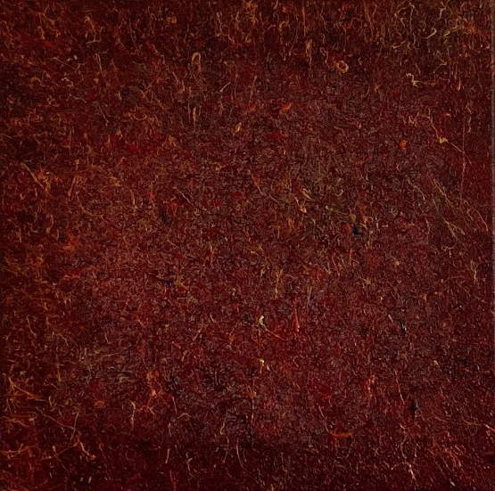 Roswitha Neumayer - L’Universo