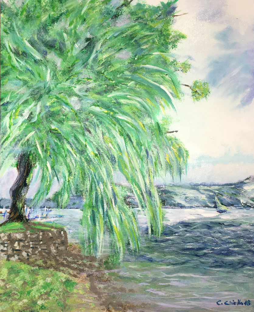 Claudia Chiello - Trauerweide am Bodensee