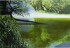 Anita Raisch - Morgenstimmung