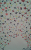 Karin Thaller - Bubbles Poster Kunstdruck - Karin Thaller, Wien, Österreich Wandbild