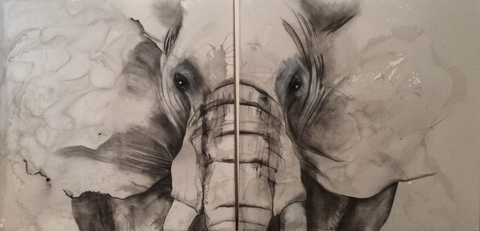 Anja Wilhelmer - Das Portrait eines Elefanten