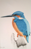 Roswitha Pulz - Eisvogel Poster Kunstdruck - Roswitha Pulz, Runkel, Deutschland Wandbild