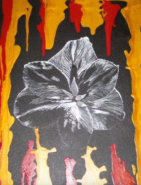 Gerd Leyerer - Die schwarze Amaryllisblüte Poster Kunstdruck - Gerd Leyerer, Sprockhövel, Deutschland Wandbild