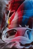 Anita Schaffer - Enkaustik Poster Kunstdruck - Anita Schaffer, Vachendorf, Deutschland Wandbild