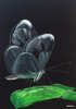 Maria Abt - Schmetterling Poster Kunstdruck - Maria Abt, Bad Wörishofen, Deutschland Wandbild
