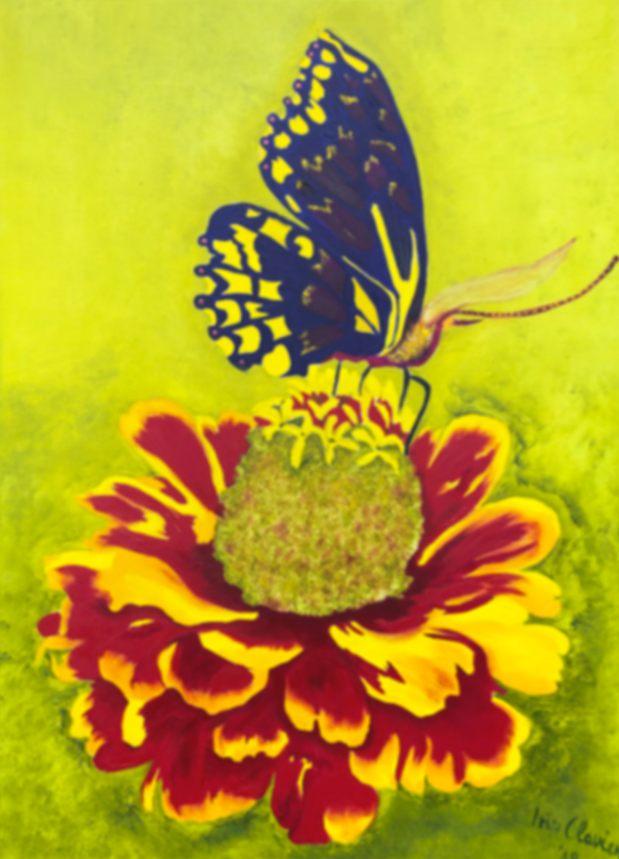 Iris Clavien - Schmetterling Abstrakt