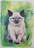 Daniela Todorovic - Streuner Poster Kunstdruck - Daniela Todorovic, Brno, Tschechien Wandbild