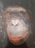 Christian Walter Von Lüderitz - Der Blick Poster Kunstdruck - Christian Walter Von Lüderitz, Neckargemünd, Deutschland Wandbild