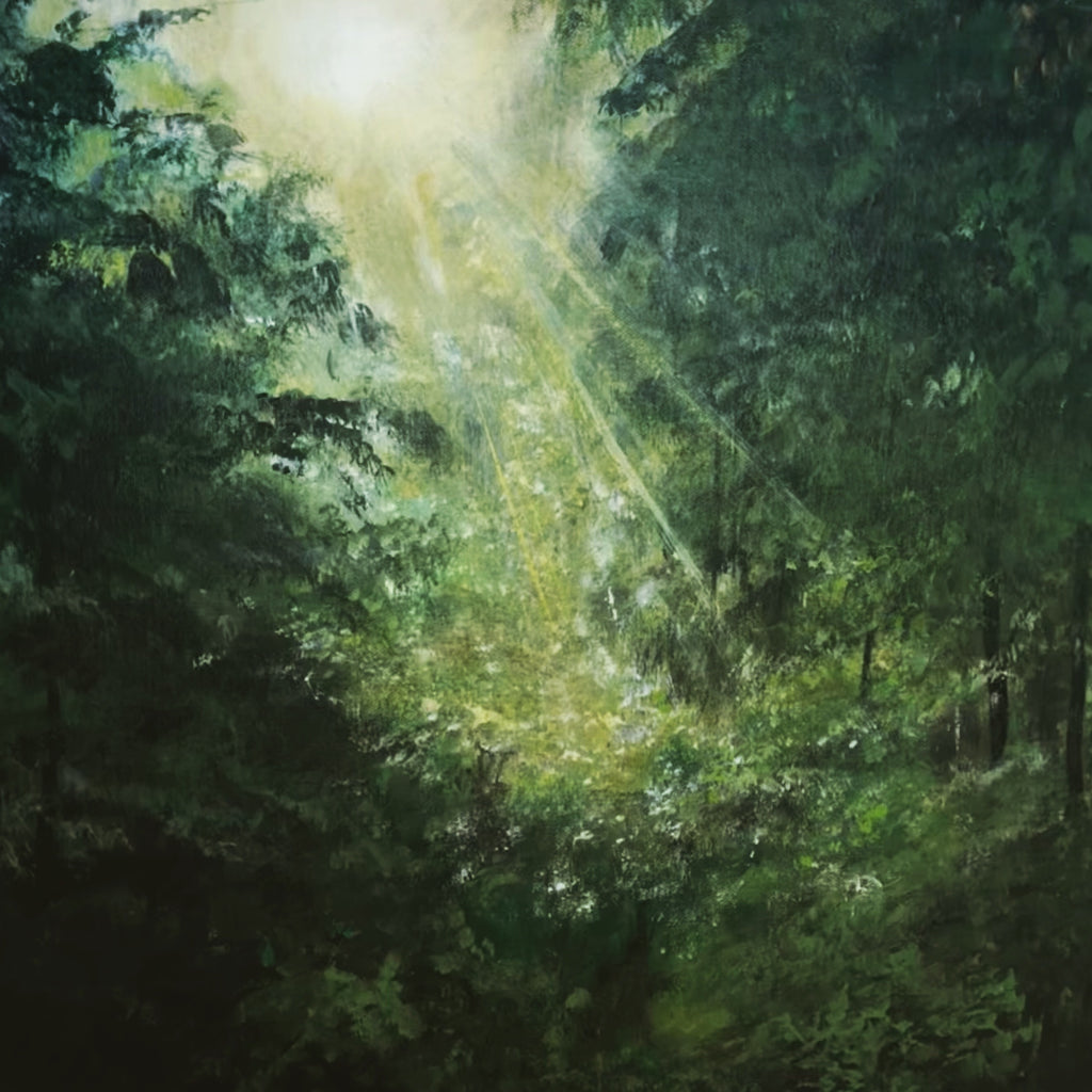 Barbara Paschke - Serie "Licht und Natur" #3