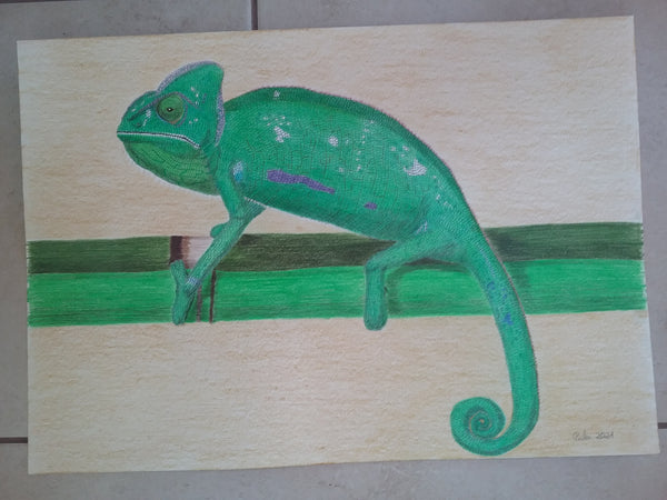 Roswitha Pulz - Green Chameleon