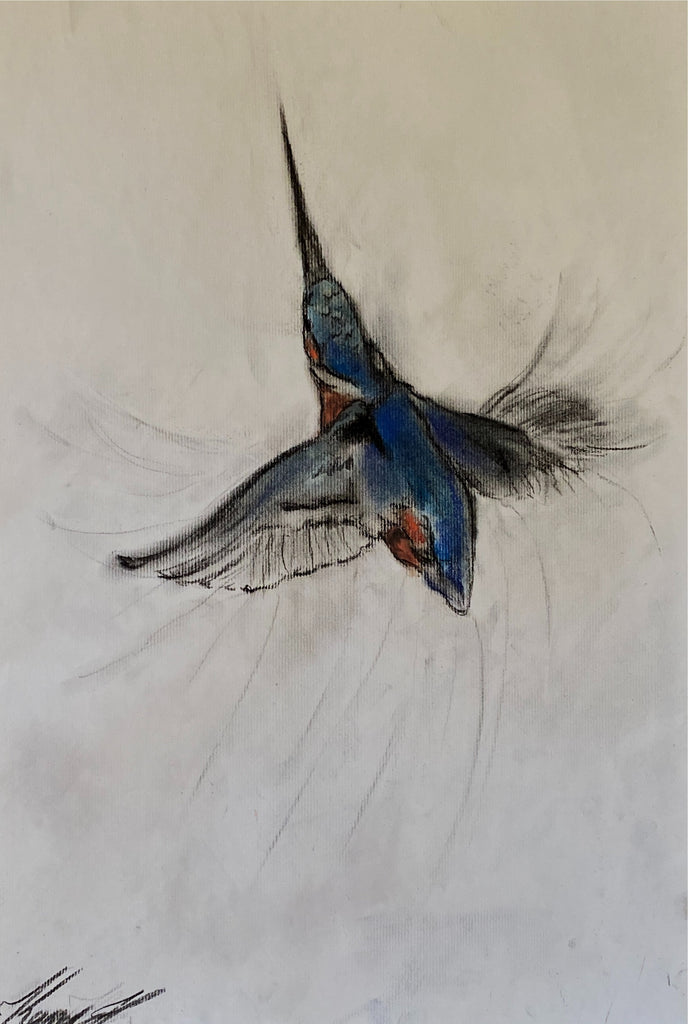 Heidrun Karner - Kingfisher