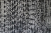 Dietmar Fedrowitz - Black and White