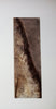 Astrid Müller - Dualität Poster Kunstdruck - Astrid Müller, Bonn, Deutschland Wandbild