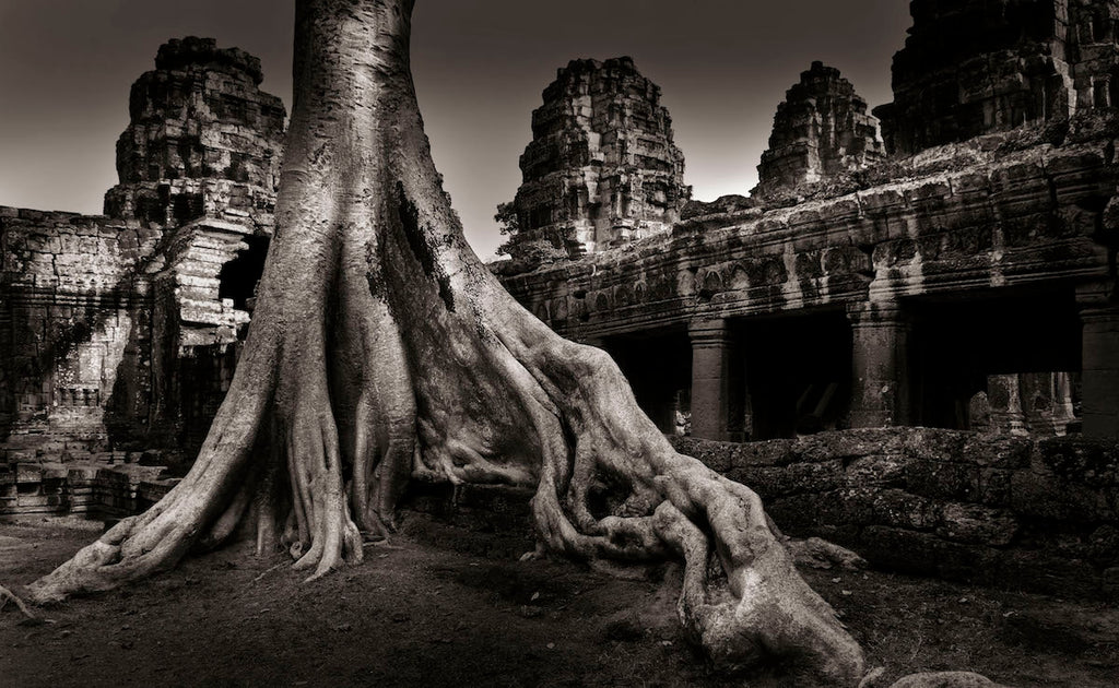 Willy Sinn - Ta Phrom