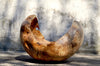 Jörg Pietschmann - Vessel · Beech · V1346 Poster Kunstdruck - Jörg Pietschmann, Hamburg, Deutschland Wandbild
