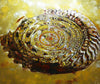 Claudia Hiddemann-Holthoff - Drops Ammonit Poster Kunstdruck - Claudia Hiddemann-Holthoff, keine Angabe, Deutschland Wandbild