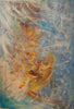 Lena Hagleitner - Feuer