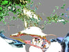 Marlies Zibell - High to sky Poster Kunstdruck - Marlies Zibell, Starzach, Deutschland Wandbild