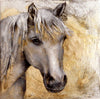Doris Teufert - Horse VI Poster Kunstdruck - Doris Teufert, Berlin, Deutschland Wandbild