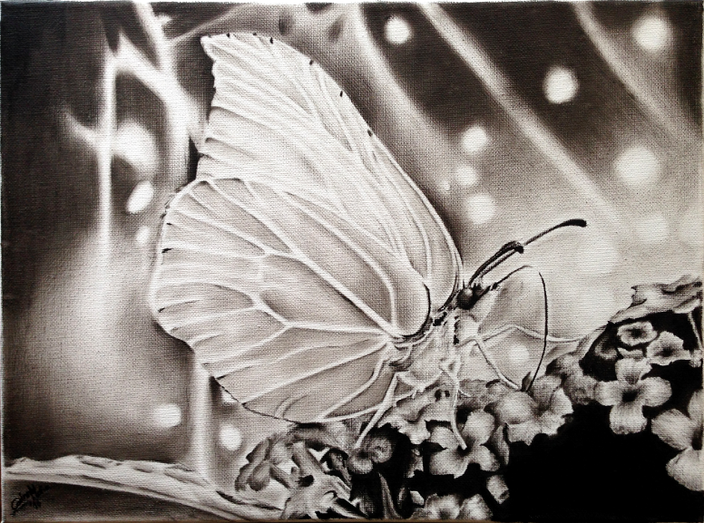 Corinna Maria Stimpfig - Butterfly