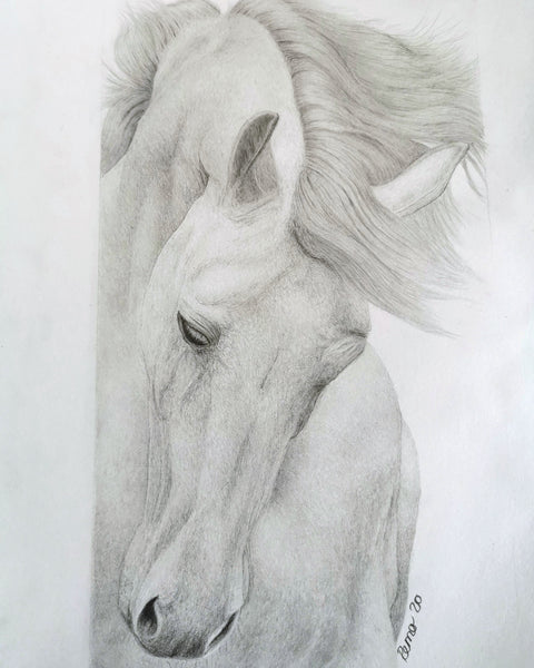 Renate Mosimann - Pferd
