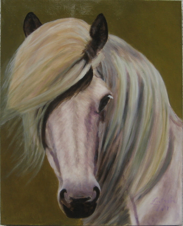 Eveline Lautsch - Island-Pony