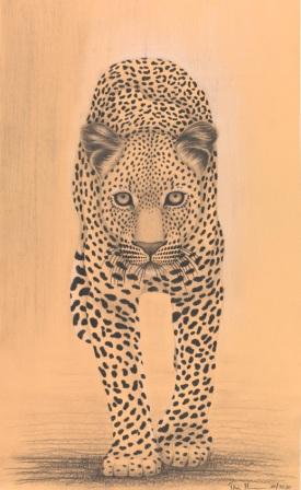 Tina Ibounig - Der Leopard